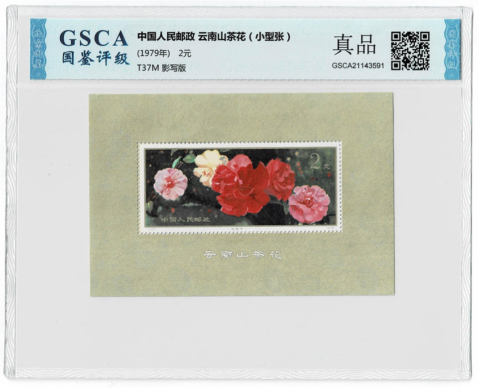 GSCA21143591